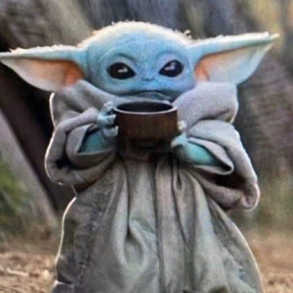 Meet your Posher, Dirk